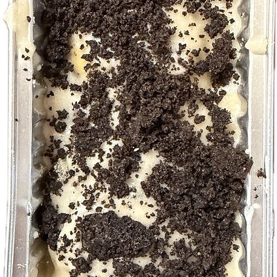 Mini Cookies and Cream Rolls