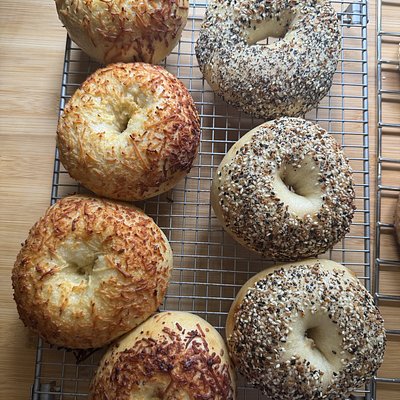 Sourdough Bagels (6)