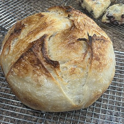 Sourdough Croissant Bread