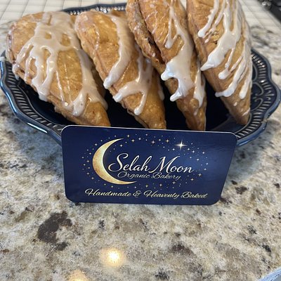 Homemade Fried Apple Pies- Single 