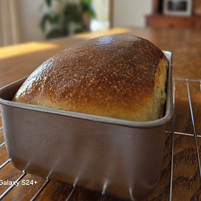 Soft Sourdough Sandwich Loaf