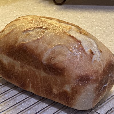 Plain sourdough loaf