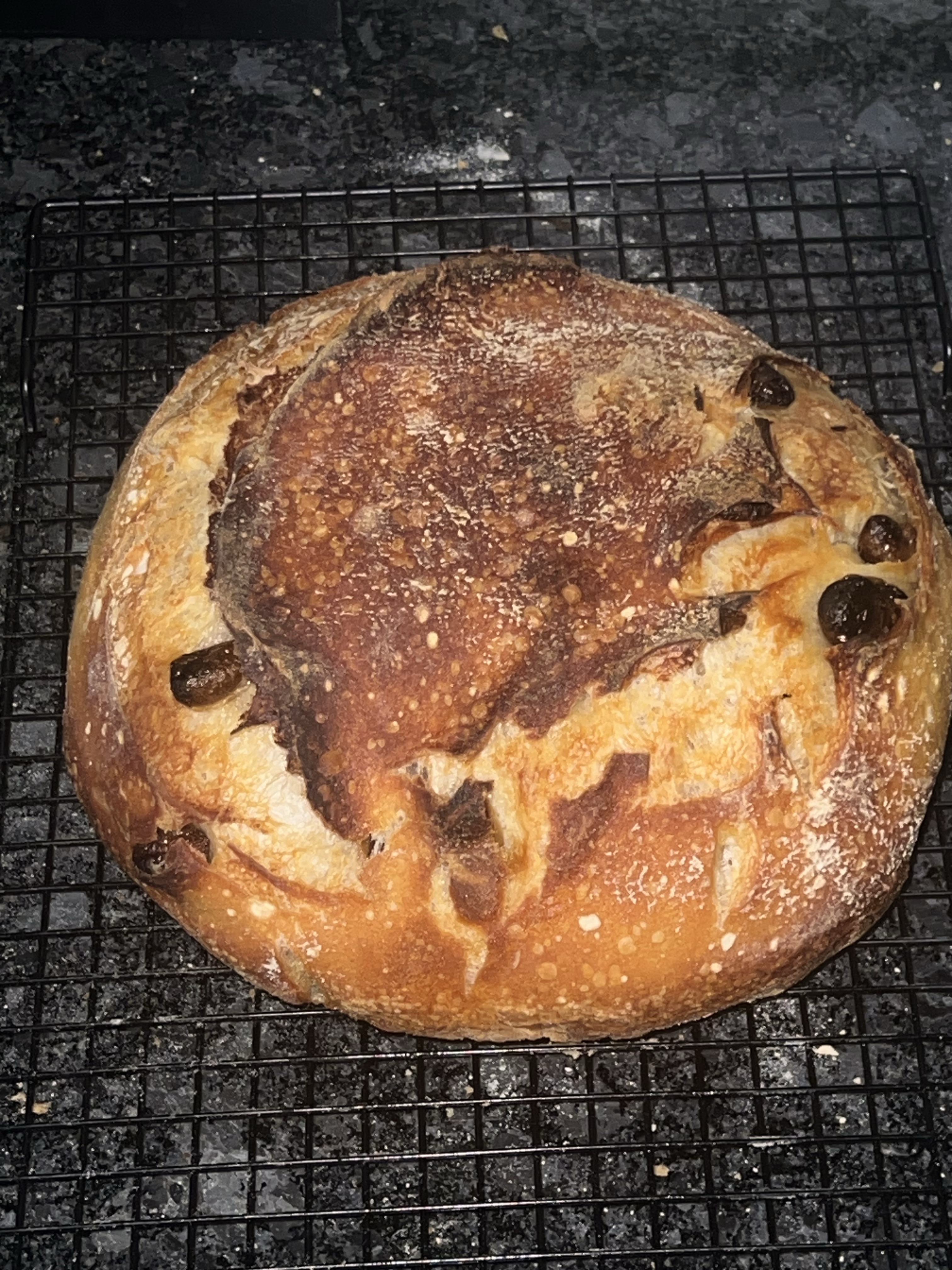 Roasted Garlic, Rosemary and Parmesan Sourdough 
