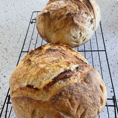Original Sourdough