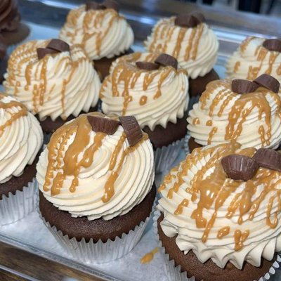 Double Chocolate Peanut Butter Cupcakes