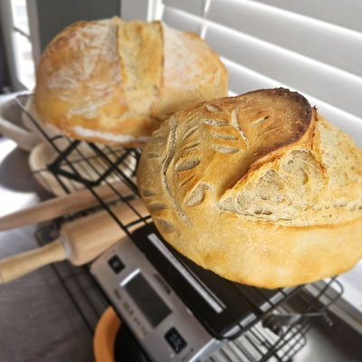 Classic Artisan Sourdough Loaf 