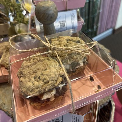 Sourdough Cream Pie (2)