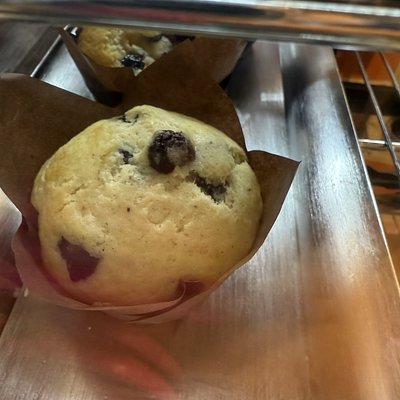 Blueberry muffin