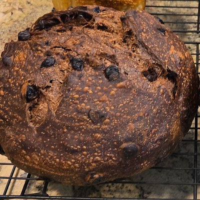 Double Chocolate Chip Sourdough Loaf
