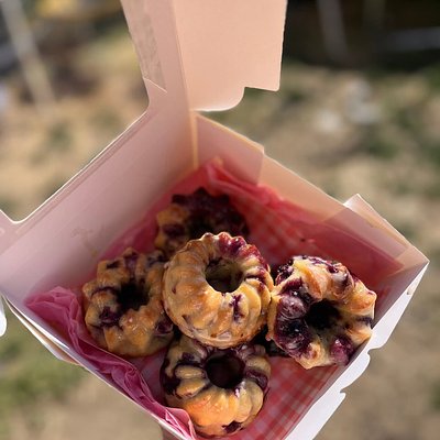 Lemon Blueberry Mini Bundt Cakes