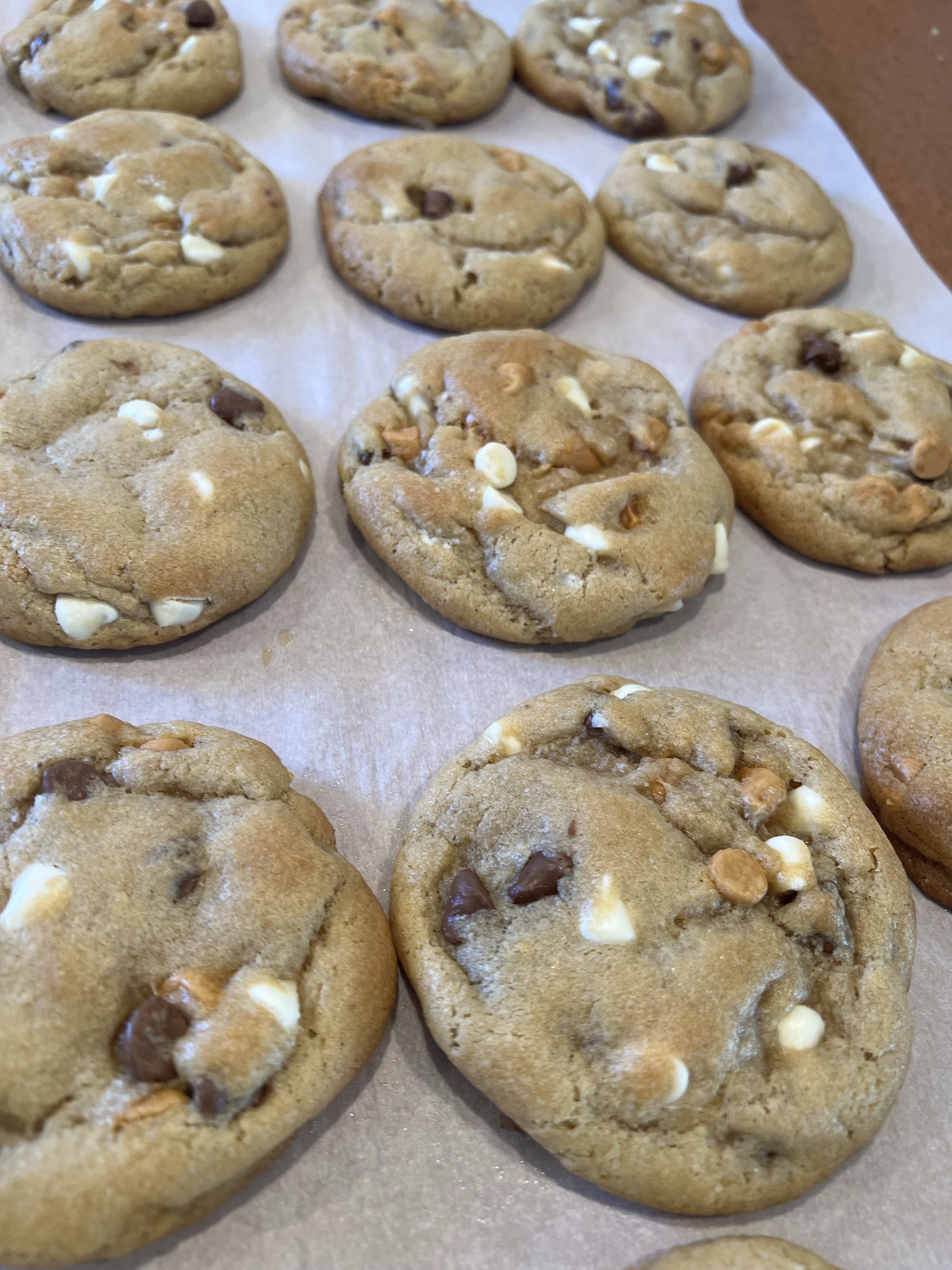 1/2dozen Campfire Cookies