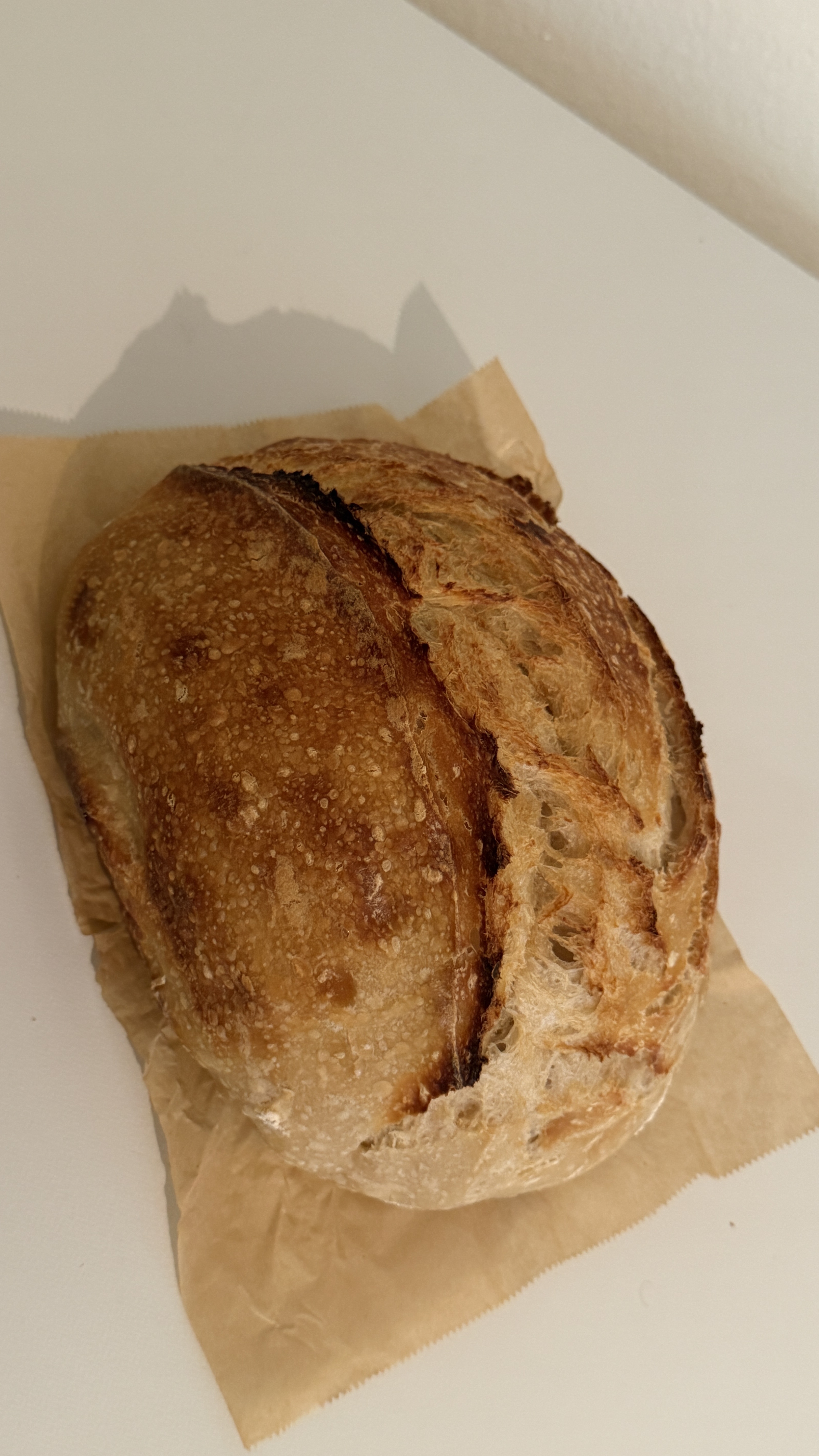 Batard Classic Regular Sourdough Bread