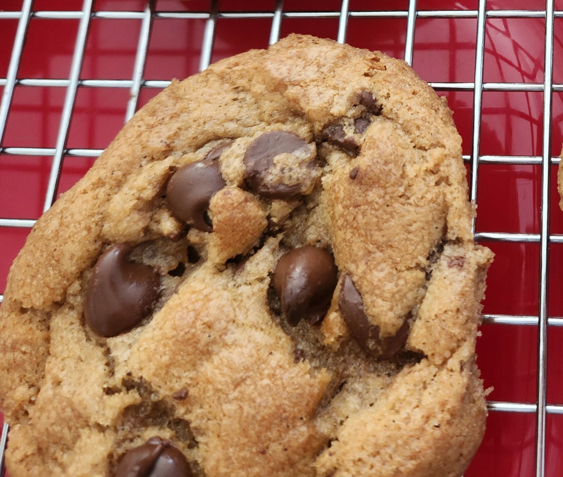 Chocolate Chip Cookie 