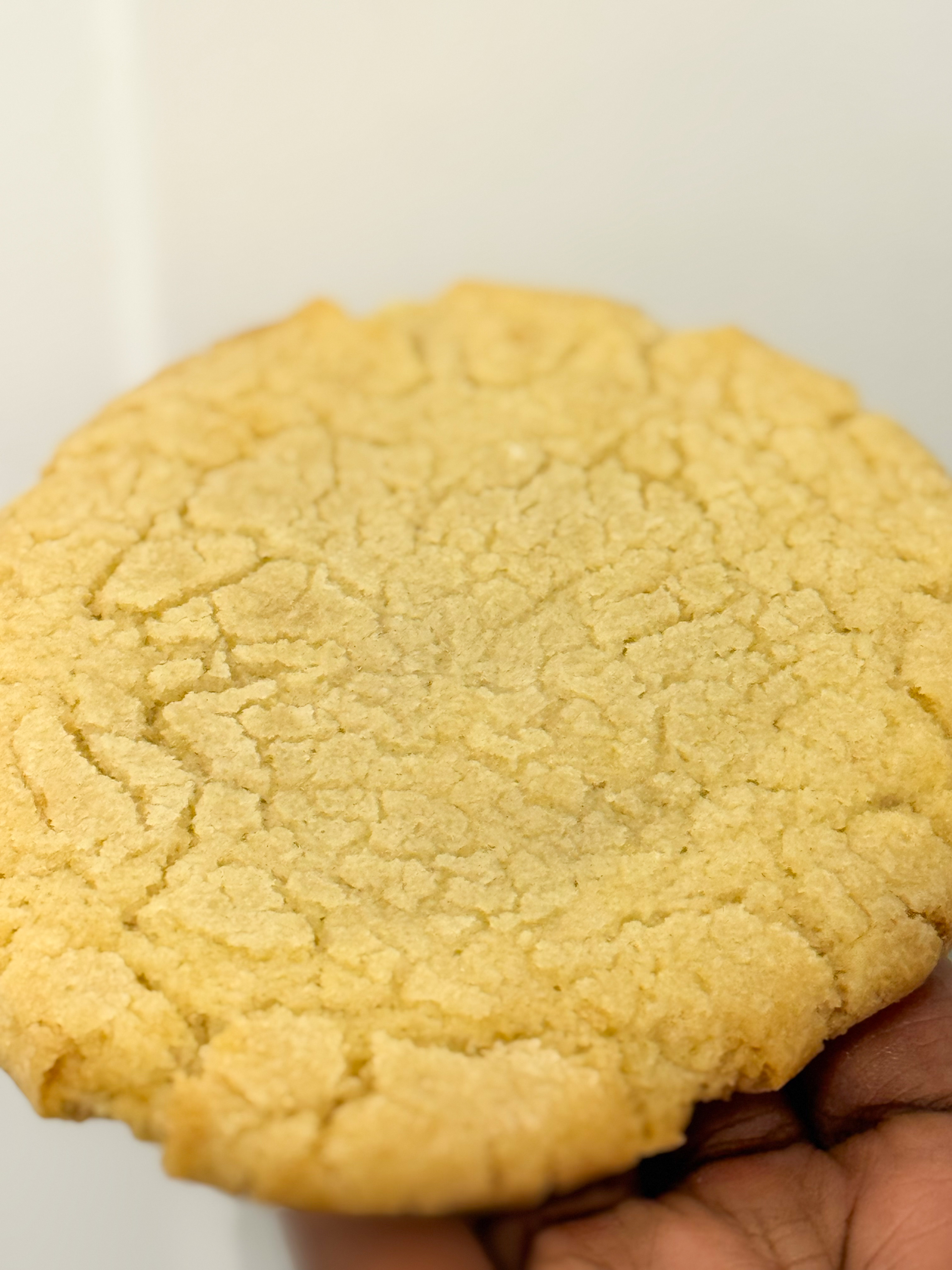 Sugar Cookie - Dozen