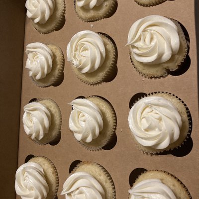 Regular Cupcakes