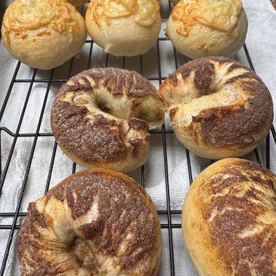 Full Dozen Bagels