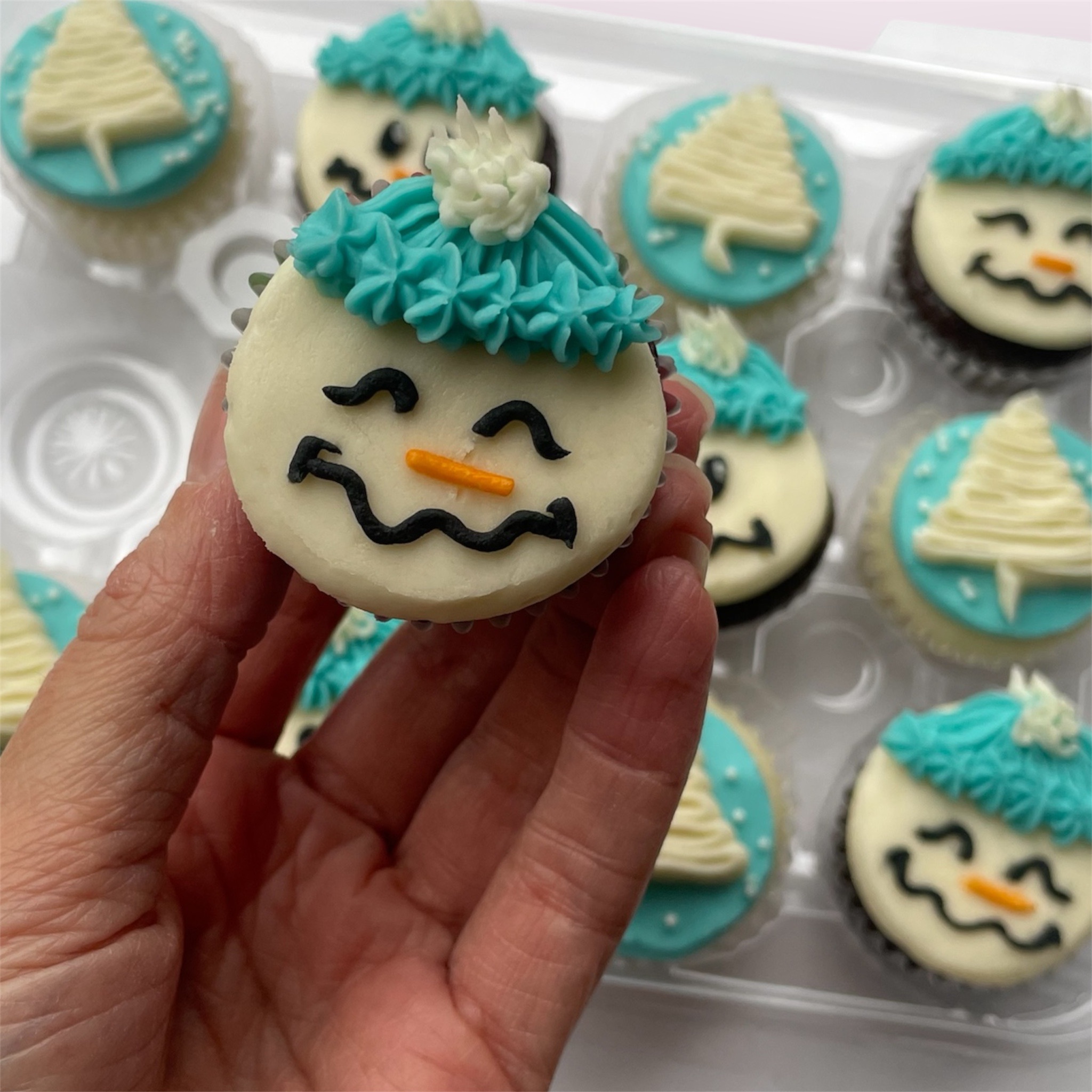 Mini Cupcakes