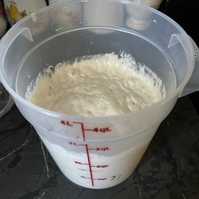 Bertha- Active Sourdough Starter