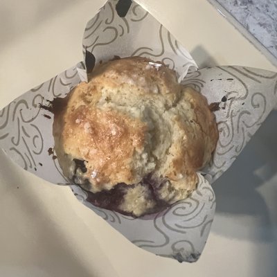 Sourdough Blueberry Muffins 