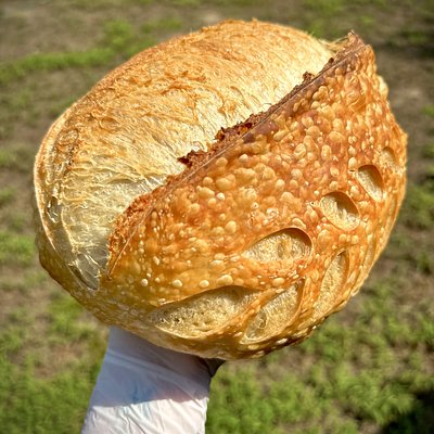 Original Artisan Sourdough 