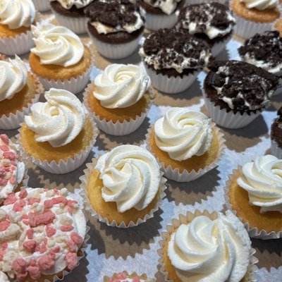 Mini Cupcakes 