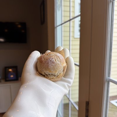 12 Mini Sourdough Rolls 