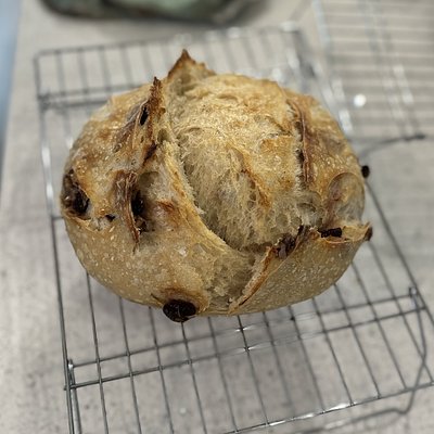 Cranberry Walnut Sourdough