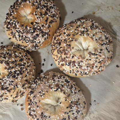 Everything Bagel Sourdough Bagels
