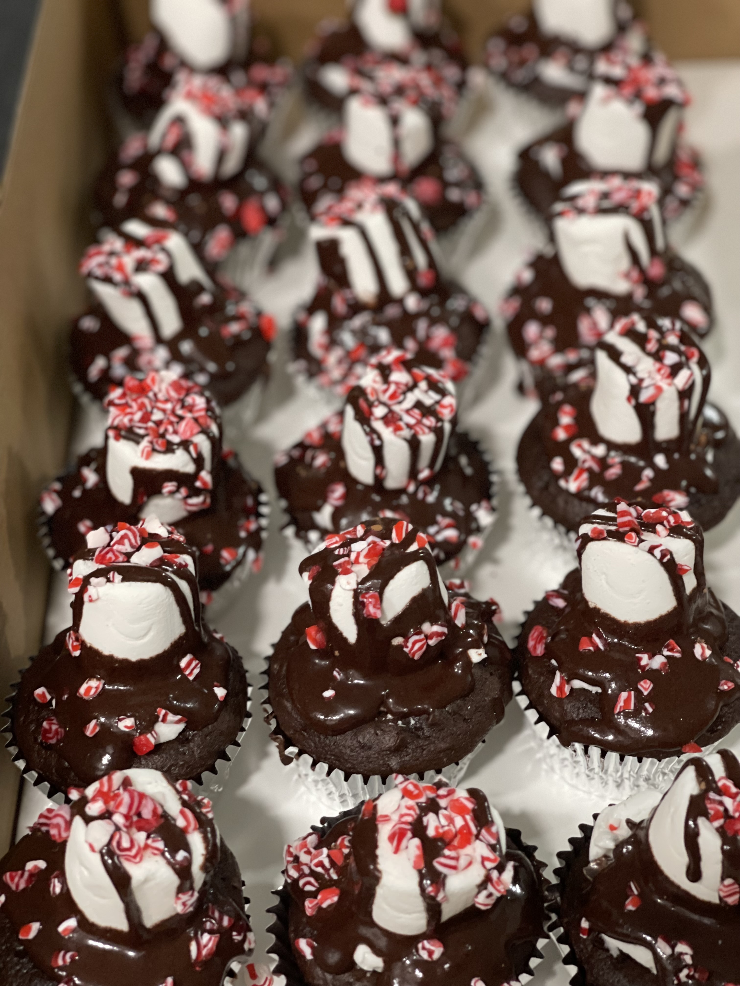 Gourmet Cupcakes 