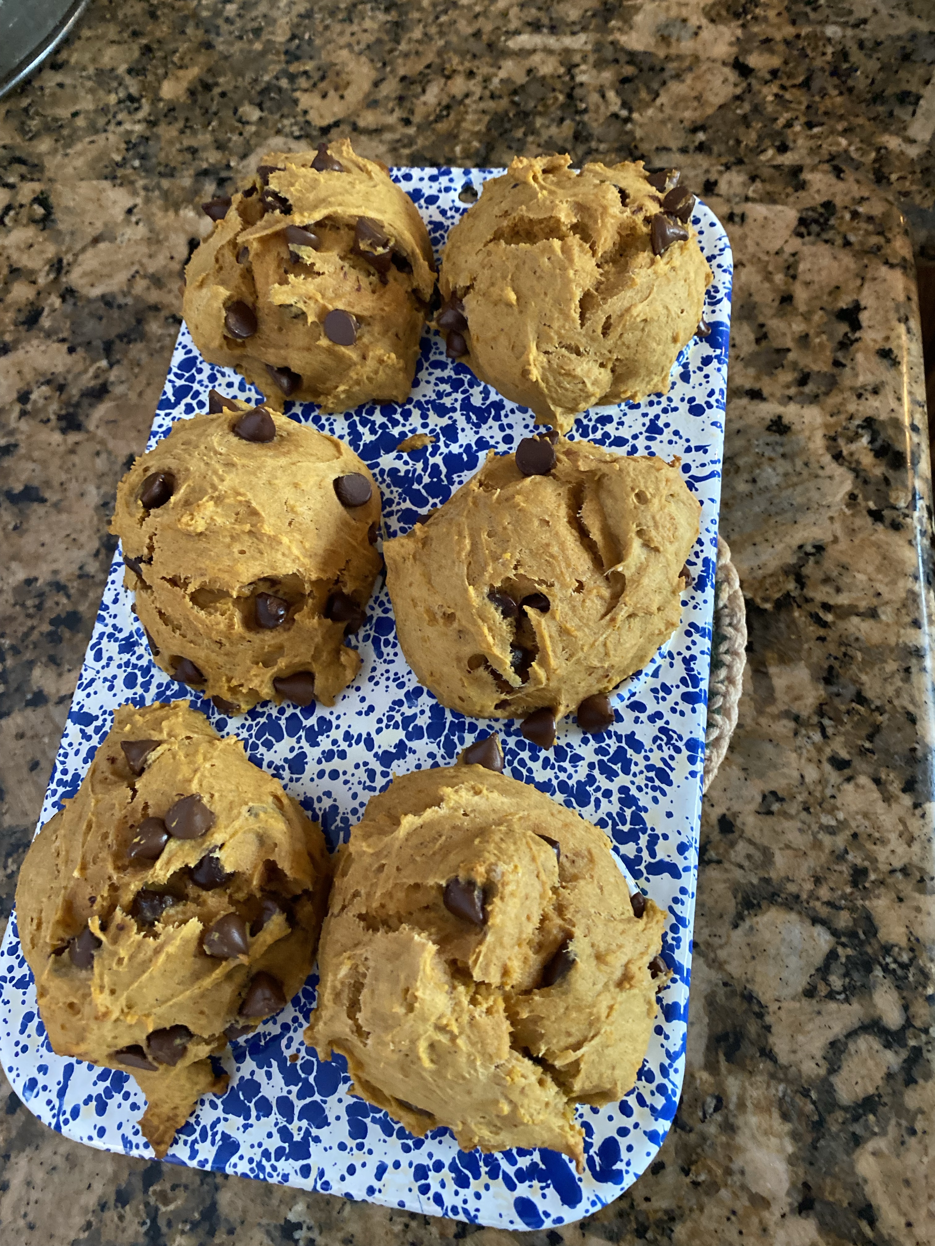 Pumpkin Chocolate Chip Muffin
