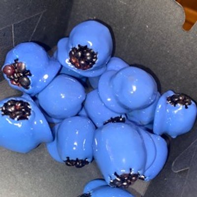 Candied Blackberries