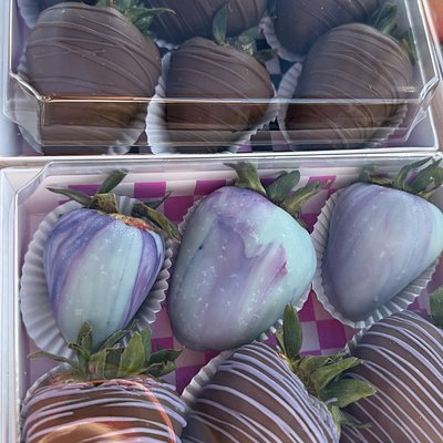 Chocolate Dipped Strawberries 