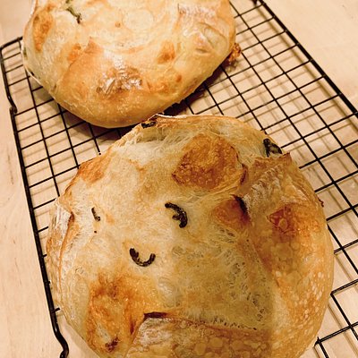 Mini Jalapeño Cheddar Sourdough Loaf