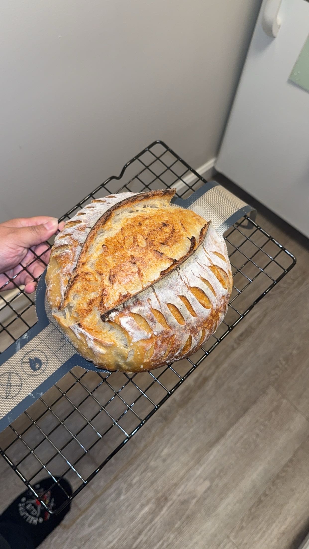 Plain Sourdough 