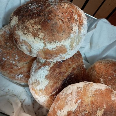 Rosemary Boule