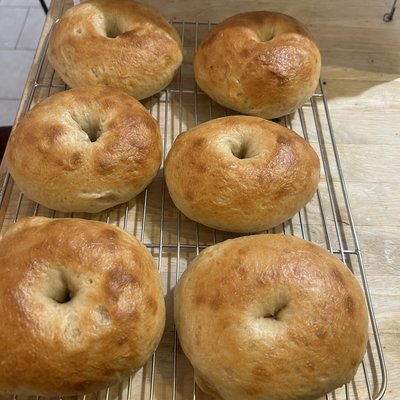 (4) Original Sourdough Bagels 
