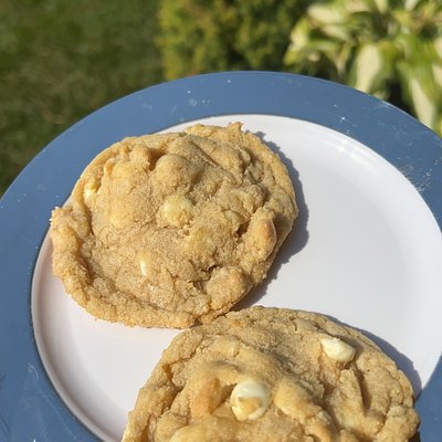 Macadamia Nut 
