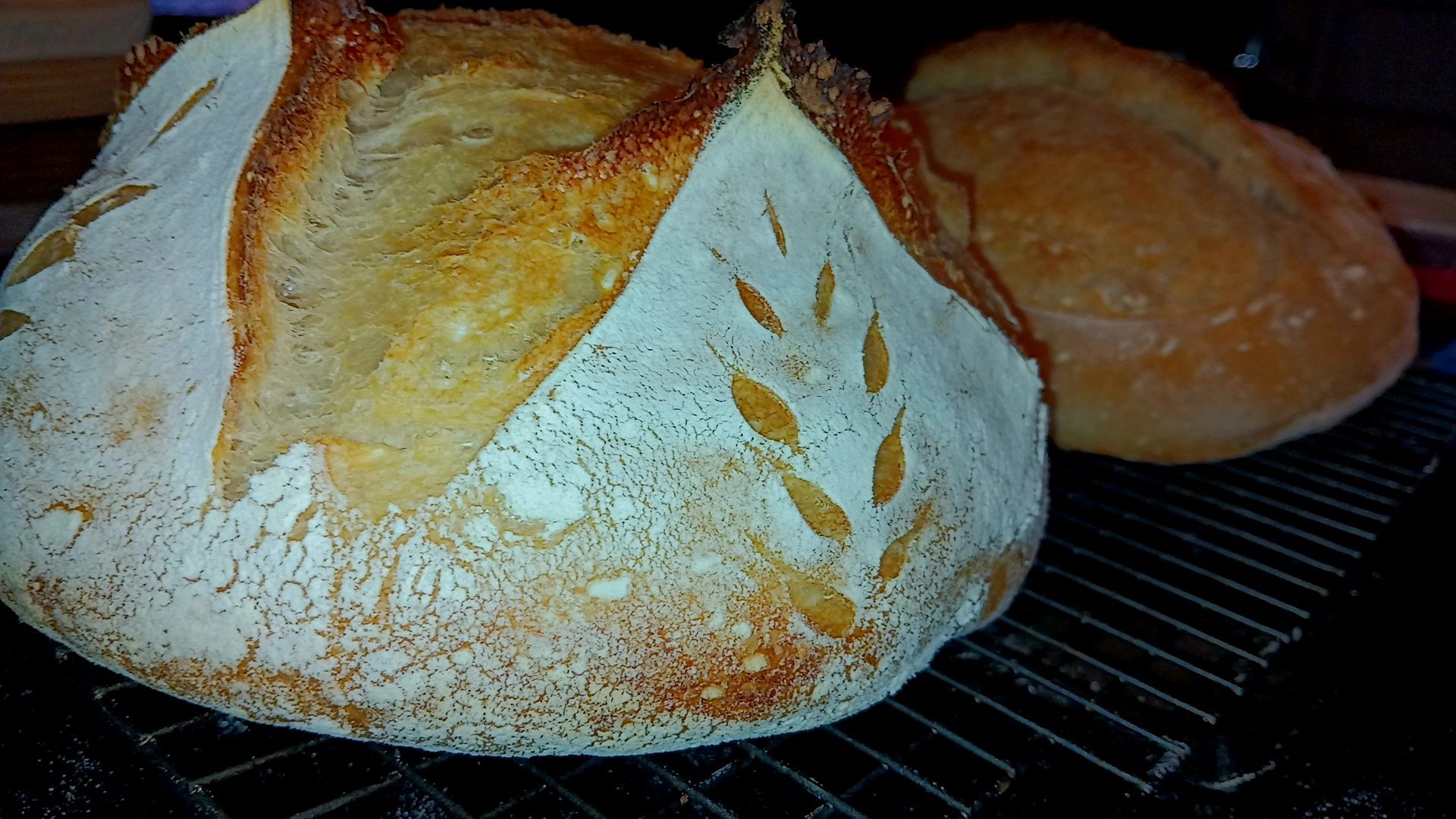 LARGE SOURDOUGH LOAVES 
