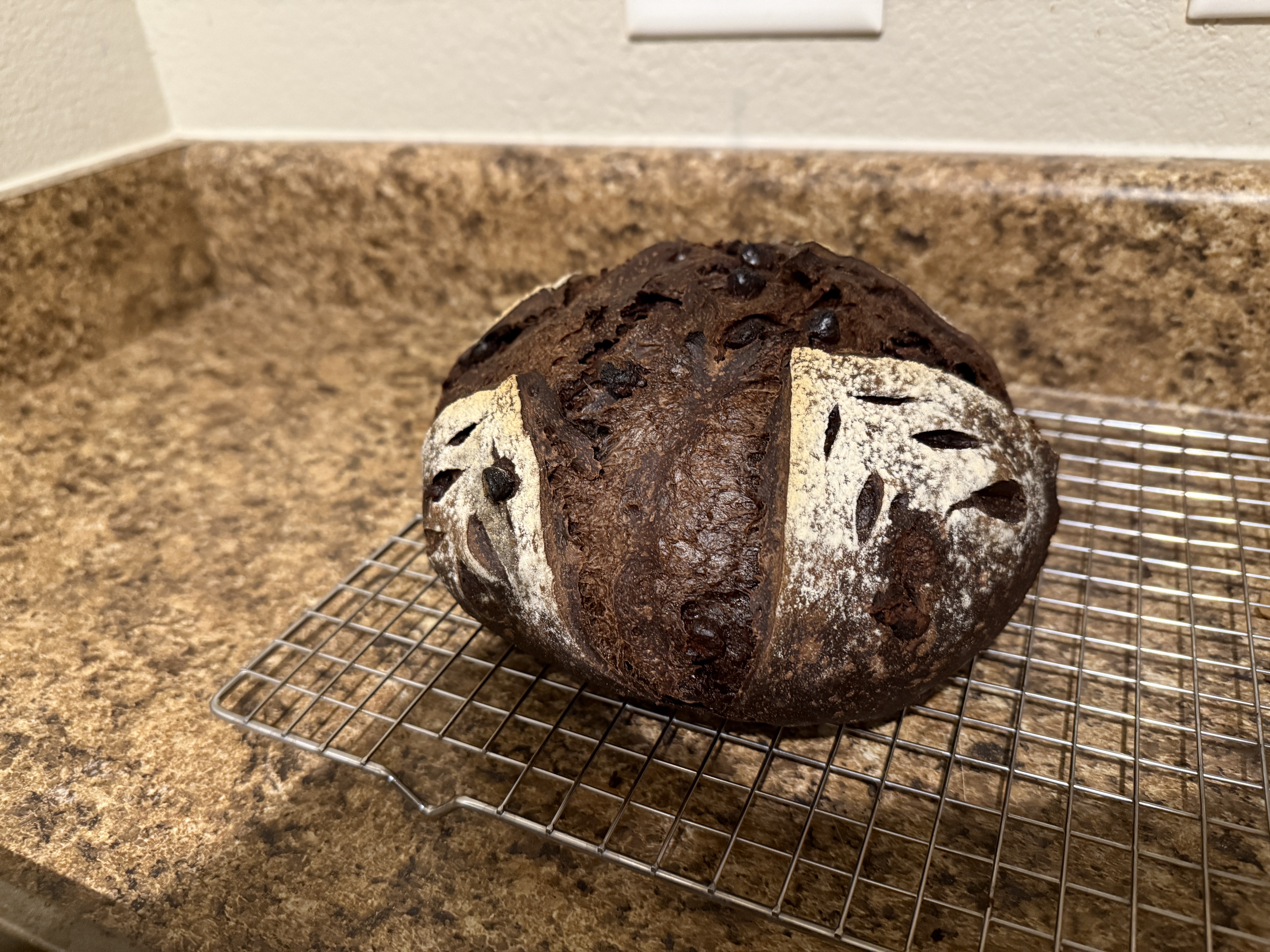 Double Chocolate Chip Loaf