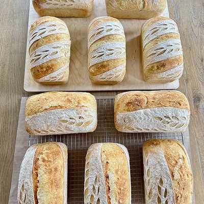 Organic Sourdough Sandwich Loaf