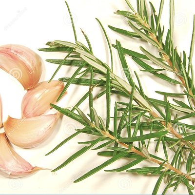 Rosemary & Garlic Sourdough Loaf