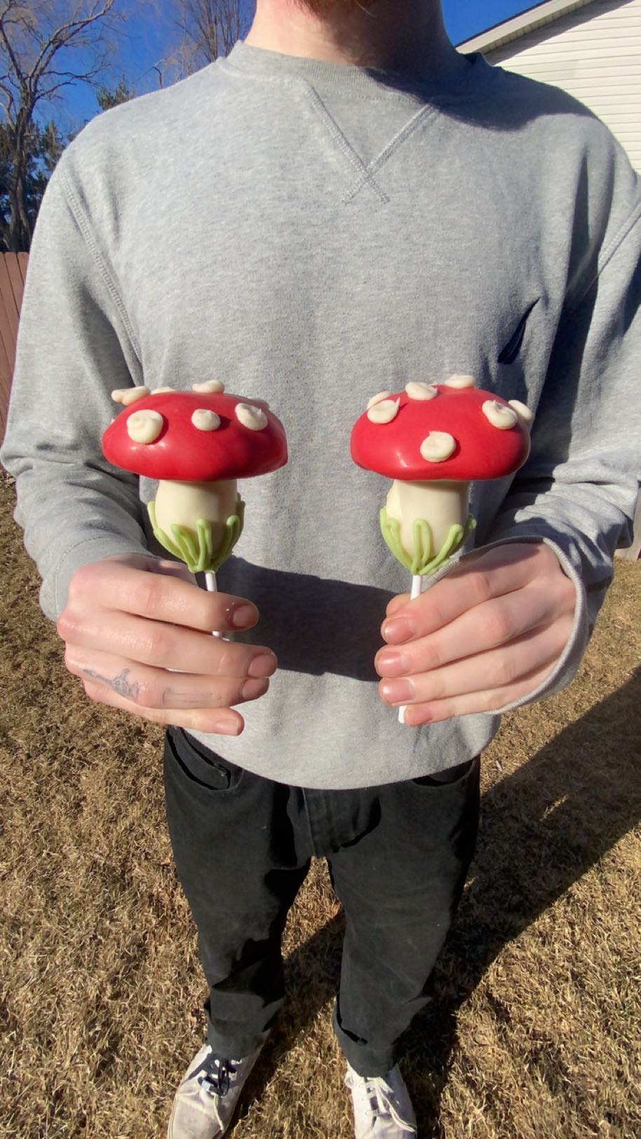 Mushroom Cake Pops 🍄