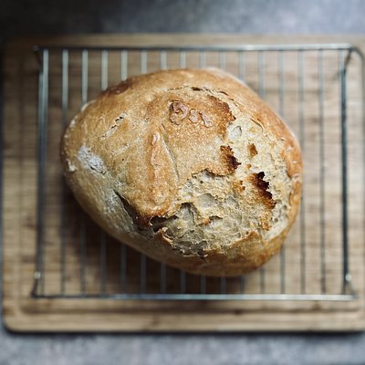 Crusty Artisan Bread