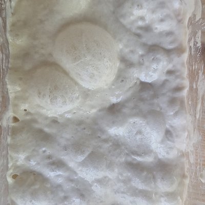 Heritage Hybrid Sourdough Starter (200-Year-Old Legacy)