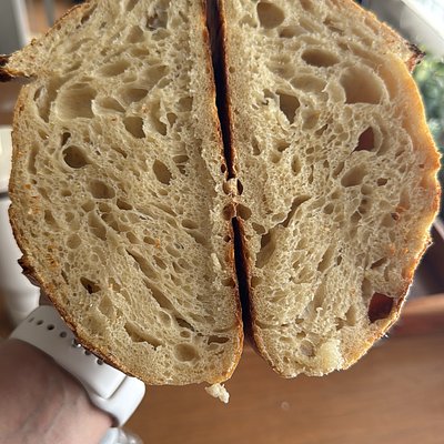 Plain Sourdough