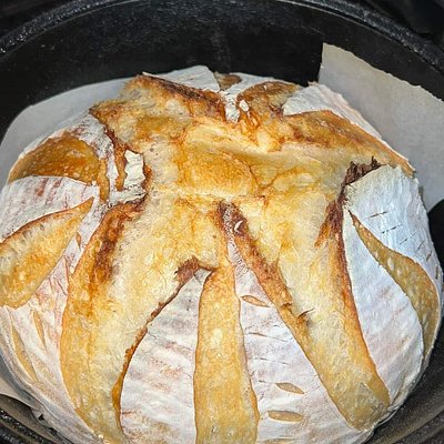 Original Sourdough Boule
