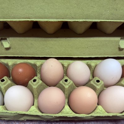 Farm Fresh Eggs - 1 Dozen