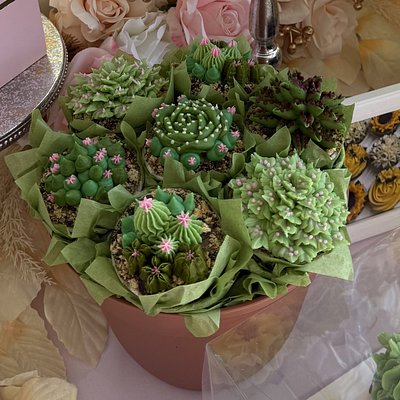 7 Cupcake Succulent Bouquet