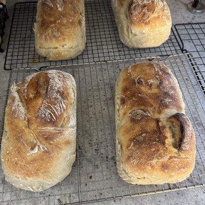 Sourdough 