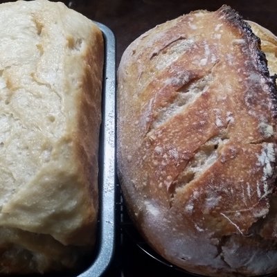Soft Sandwich Cheddar Sourdough Loaf